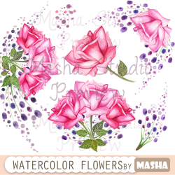 Watercolor flowers clipart: WATERCOLOR ROSES
