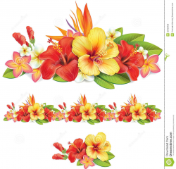 Garland Of Tropical Flowers Royalty Free Stock Images - Image ...