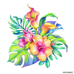 watercolor floral illustration, exotic nature, tropical flowers ...