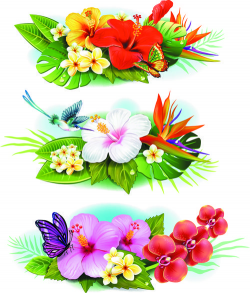 flowers borders vector set | BORDES | Pinterest | Flowers, Flower ...