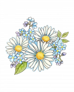 Daisy bouquet Watercolor, Hand painted clipart, Digital ...