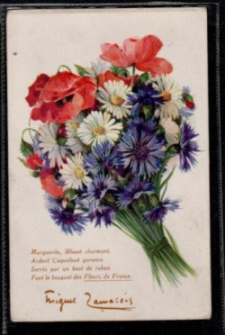 bleuet-marguerite-et-coquelicot | Poppy bouquet | Pinterest | Google ...