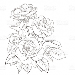 32 best Flower Bouquet Tattoo Outlines images on Pinterest | Bouquet ...