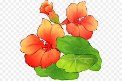 Flower bouquet Summer Clip art - Summer Flower Cliparts png download ...