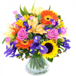 Burst of Summer Fresh Flower Bouquet | Carnations, Lilies and ...