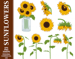 Digital Sunflowers Clip Art - Yellow, Green, Sun, Flowers, Mason Jar ...