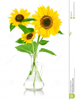 Sunflower Bouquet Transparent Clipart