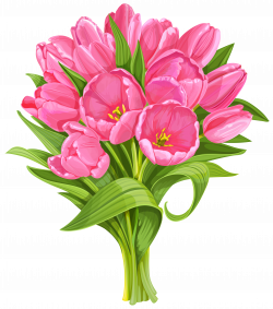 Tulips Bouquet Transparent PNG Clip Art | Gallery Yopriceville ...