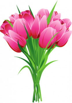 Tulip Bouquet Free Clipart