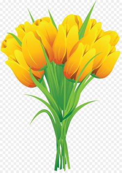 Tulip Flower bouquet Yellow Clip art - tulip png download - 3830 ...
