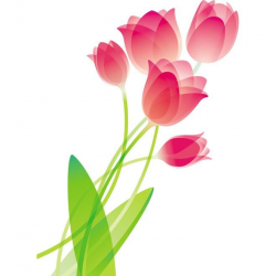 Pink glossy tulip flower bouquet vector art illustration - Free ...