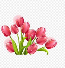 Tulip Flower bouquet Clip art - tulip png download - 1536*1600 ...
