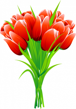 Web Design & Development | Red tulips, Clip art and Flower clipart