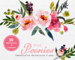 Digital Clipart- Watercolor Flower Clipart, peonies Clip art, Floral ...