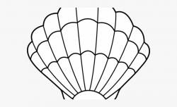 Fish Bowl Clipart Seashells - Sea Shell Outline #183484 ...