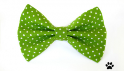 Cat bow ties and dog bow ties - RHC Pets
