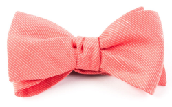 Coral Fountain Solid Bow Tie | Ties, Bow Ties, and Pocket Squares ...