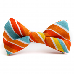 54 Best Way To Tie A Bow Tie, 16 Best Images About Inspiration ...