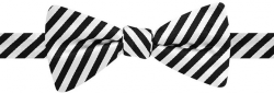 Countess Mara Satin Bar Stripe Bow Tie | Where to buy & how to wear
