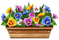 Box with Violets PNG Clipart Picture | flower | Pinterest | Violets ...