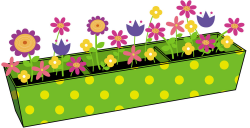 Flower Box - Sunspot - Pop-Up Garden