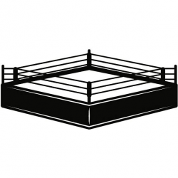 Boxing Ring 4 Boxer Gloves Ring Fight Fighting Match MMA