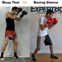 MMA stands for Mixed Martial Arts. So if your a Fighter, learn it ...