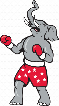Elephant Boxer Boxing Stance | Fighting gloves, Graphics and Font logo