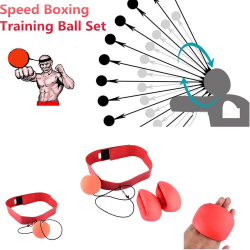 Boxing Reflection Training Speed Ball – littleplayland.com
