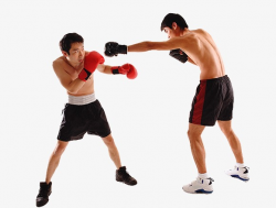 Boxing Match, Two People Boxing, Boxing Training, Boxer PNG Image ...