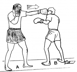 Lawyer-boxer's Blog: August 2009