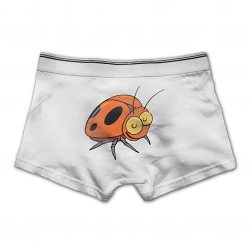 Amazon.com: Tongbu Insect Clipart Kid Men's Underwear Modern Soft ...