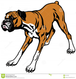 Happy Boxer Dog Clipart