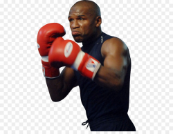 Floyd Mayweather Jr. vs. Conor McGregor Professional boxing Floyd ...
