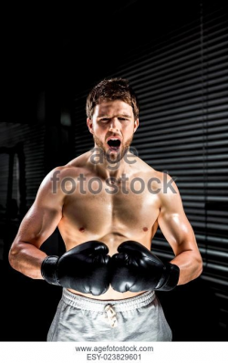 Boxe Stock Photos and Images | age fotostock