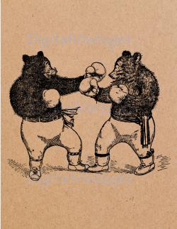 Vintage Boxing Bears Sports Illustration Antique Digital Image
