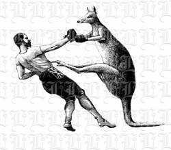 Kangaroo Fight Printable Victorian Circus Vintage Clip Ar High
