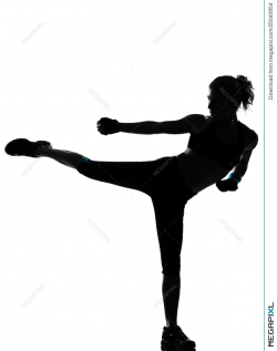 Woman Kickboxing Posture Boxer Boxing Stock Photo 25040854 - Megapixl