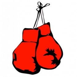 MMA & Boxing - Payne Athletic Company