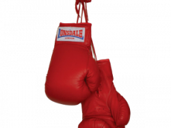 Boxing PNG images, clipart, photos, pictures.| PNG All