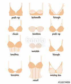 Set with ladies underwear. Different types of bras vector icons ...