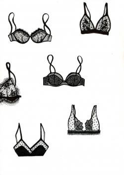 Lacey bra, lace lingerie. Hand drawn illustration made with ...