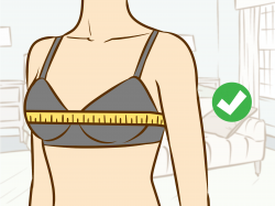 How to Put on a Bra (with Pictures) - wikiHow