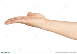 Outstretched Open Hand Arm Isolated Stock Photo 40305562 - Megapixl