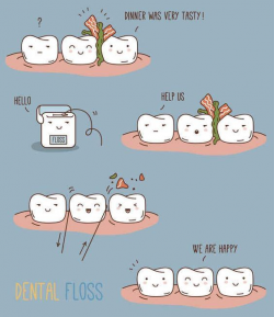 262 best Fun Stuff :-) images on Pinterest | Orthodontics, Braces ...