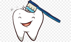 Pediatric dentistry Dental braces Clip art - Teeth and toothbrush ...