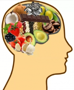 Which types of foods can improve memory and concentration instantly ...