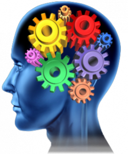 Four Critical Cognitive Skills | Robert JR Graham