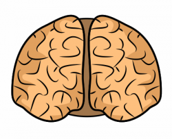28+ Collection of Easy Brain Clipart | High quality, free cliparts ...