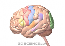 3D Science Clip Art by Zygote Media Group, Inc.